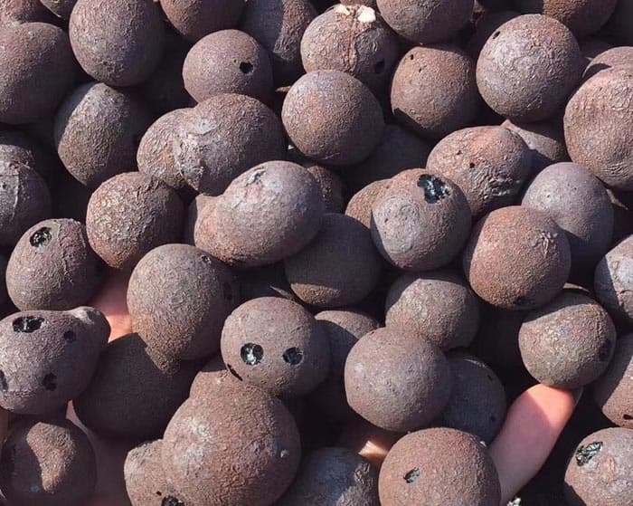 Drainage pebbles — in a planter