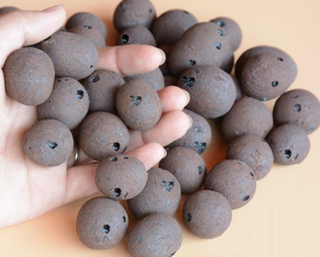 Hydroponic Grow Pebbles photo